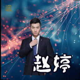 赵婷
